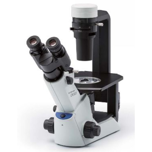 Evident Olympus Microscopio invertito Olympus CKX53 Hellfeld V1, trino, 40x, 100x,
