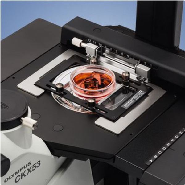 Evident Olympus Microscopio invertito CKX53, trinoculare, 100x, 200x, 400x, IPC/IVC tavolino x/y
