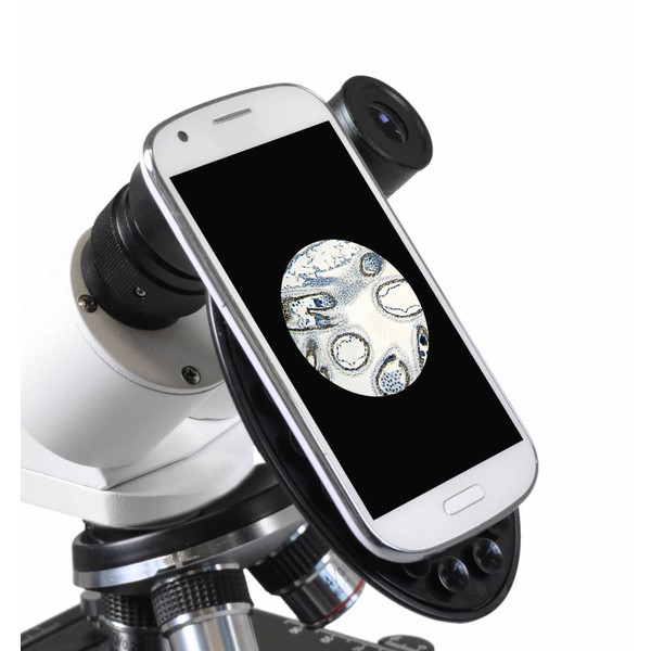 Microscope Bresser Erudit Basic, bino, 40x-400x