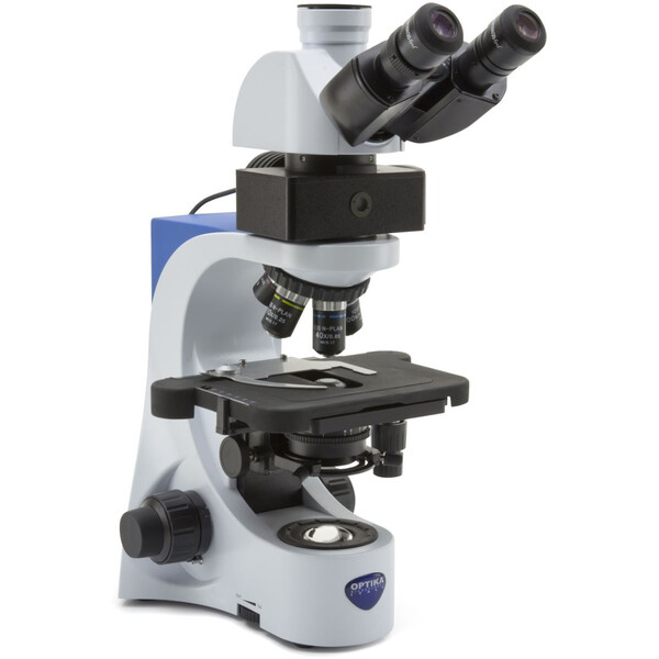 Optika Microscopio Mikroskop B-383LD, trino, FL-LED, blue filter, N-PLAN, IOS, 40x-1000x