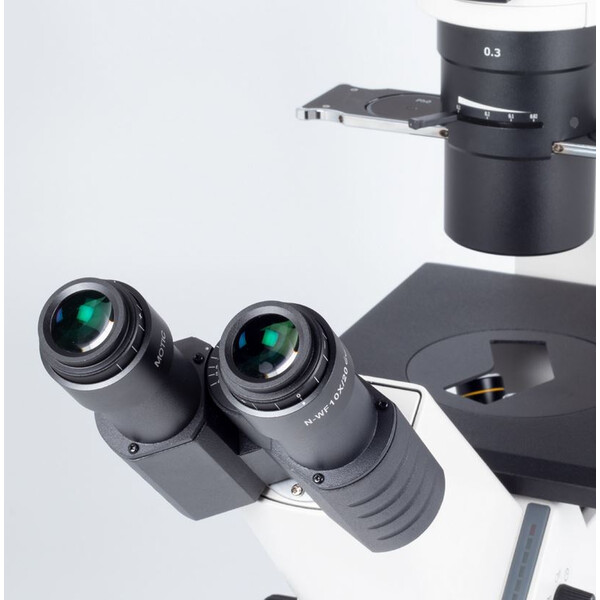 Motic Microscopio invertito AE31E bino, infinity, 40x-400x, phase, Hal, 30W