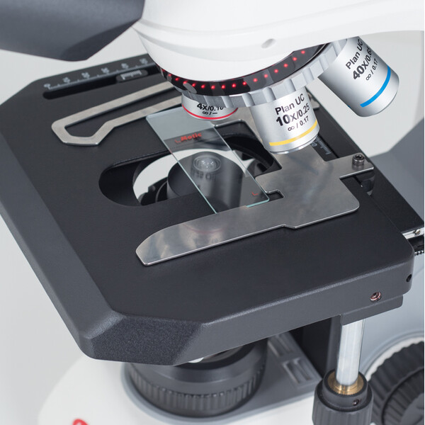 Motic Microscopio Panthera C2, bino, infinity, plan, achro, 40x-1000x, Halogen/LED