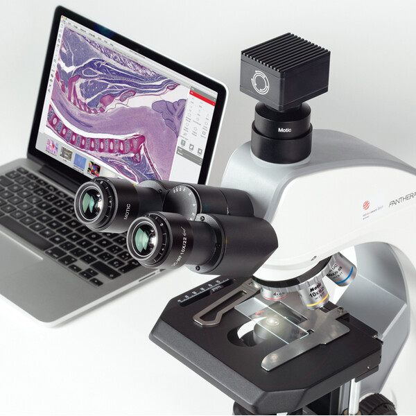 Motic Microscopio Mikroskop Panthera C2, Trinokular (Ohne 100X), infinity, plan, achro, 40x-400x, Halogen/LED