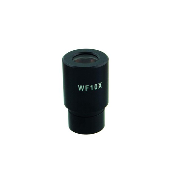 Windaus Oculare a campo largo WF 10x con micrometro per HPM 300