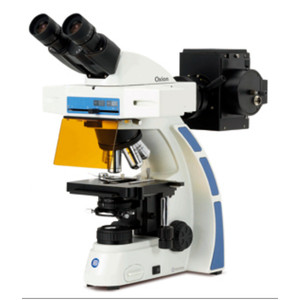 Euromex Microscopio OX.3080, binoculare, Fluarex, olio