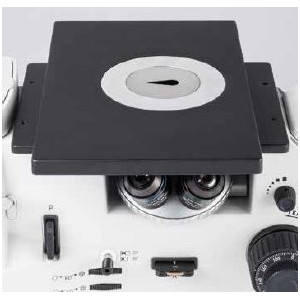 Motic Microscopio invertito AE2000 MET, trino, LM, 50-500x, 100W
