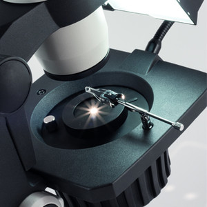 Motic Microscopio stereo zoom GM-168, bino, 7,5-50x, wd 113mm