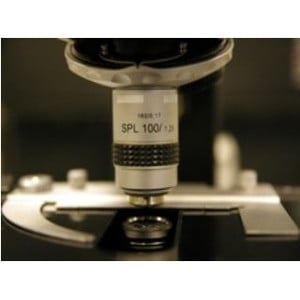 Hund Microscopio H 600 LL HP 100, campo scuro