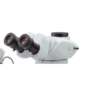 Olympus Microscopio stereo zoom SZX7, trino, 0,8x - 5,6x, con luce trasmessa
