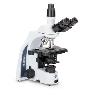 Euromex Mikroskop iScope IS.1153-PLPH, PH, trino, DIN, plan, 100x-1000x, LED, 3W