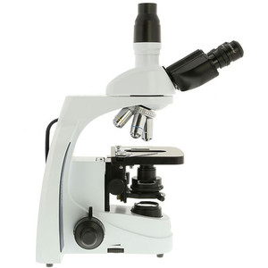 Euromex Microscopio iScope IS.1153-EPLi, trino