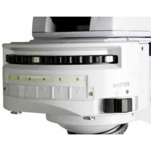 Euromex Microscopio iScope, IS.3152-PLFi/6, bino