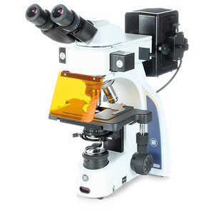 Euromex Microscopio iScope, IS.3152-EPLi/3, bino