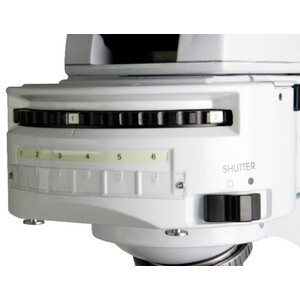 Euromex Microscopio iScope, IS.3153-PLi/3, trino