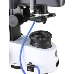Euromex Microscopio iScope IS.1153-EPL/DF, trino