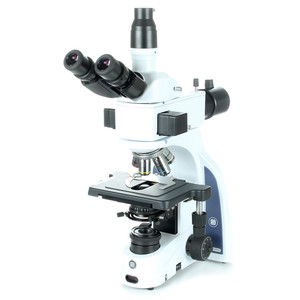 Euromex Microscopio iScope IS.3153-PLi/LG, trino