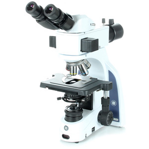 Euromex Microscopio iScope IS.3152-PLi/LB, bino