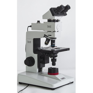 Hund Mikroskop H 600 LED AFL Myko, bino,  200x - 400x