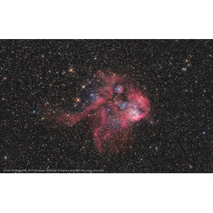 Bresser Teleskop N 203/800 Messier NT 203S Hexafoc EXOS-2 GoTo