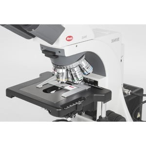 Motic Microscopio BA410 Elite, trino, Hal, 50W, 40x-1000x
