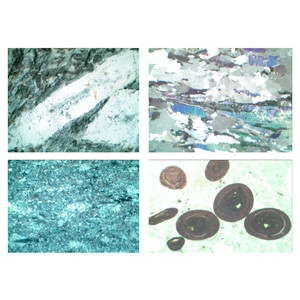 LIEDER Gesteinsdünnschliffe Serie V Sedimentgesteine (Sedimentite)  (22 Präp)