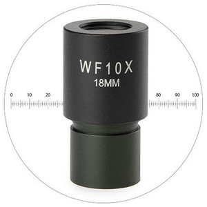 Euromex Oculaire micrométrique WF 10x/18 mm, MB.6010-M (MicroBlue)