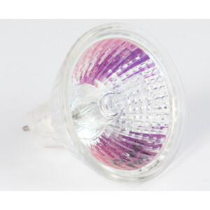 Motic Lámpara halógena de repuesto de 12 V/20 W, luz transmitida (trípode R2GG) (SMZ-161)