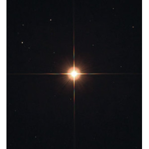 noctutec Spikemaske easy-spike M67