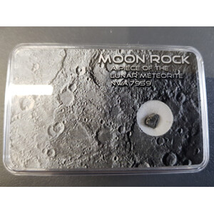 Echter Mond Meteorit NWA 7959 XS