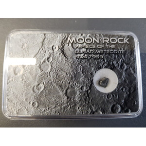 Echter Mond Meteorit NWA10203