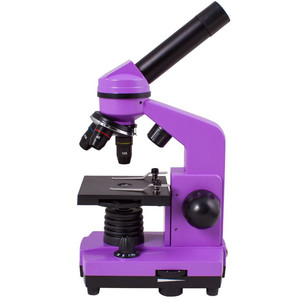 Levenhuk Microscopio Rainbow 2L Amethyst