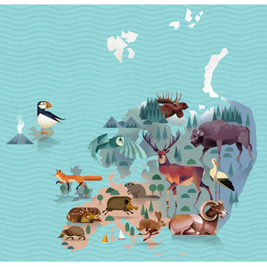 Marmota Maps Weltkarte Die Welt der Tiere