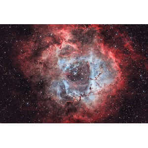 OPT Triad Ultra Quad-Band Schmalband Filter 2"