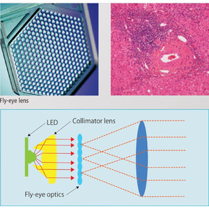Nikon Mikroskop ECLIPSE E200, LED, bino, infinity, e-plan, 40x-1000x