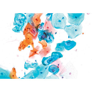 Nikon DS-Fi3, 5.9MP, USB3.0, CMOS