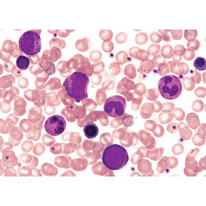 Nikon DS-Fi3, 5.9MP, USB3.0, CMOS