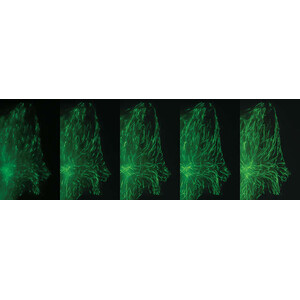 Nikon DS-Qi2, Mono, 16.25MP, USB3.0, CMOS, F-mount