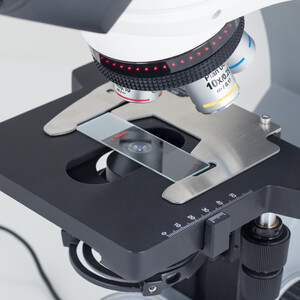 Motic Microscopio Mikroskop Panthera E2, Trinokular, HF, Infinity, plan achro., 40x-1000x, fixed Koehl.LED