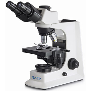 Kern Microscope Trino Achromat 4/10/40/100, WF10x18, 20W Hal, OBF 131