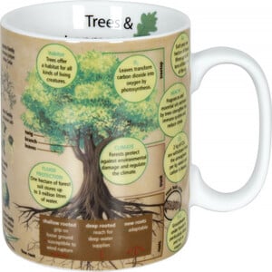 Könitz Mugs of Knowledge Trees