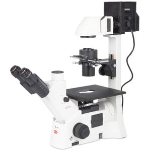 Microscope inversé Motic AE31E trino 100W, inv, CCIS Plan 4x, LWD Ph10x/20x40x