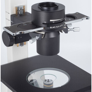 Motic Microscopio invertito AE31E trino 100W, inv, CCIS Plan 4x, LWD Ph10x/20x40x