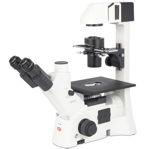 Motic Microscopio invertido AE31E trino, infinity, 40x-400x, phase, Hal, 30W
