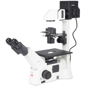 Motic Microscopio invertido AE31E bino, infinity, 40x-400x, phase, Hal, 100W