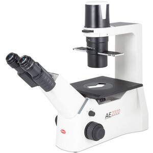 Motic Microscópio invertido AE2000 bino, infinity 40x-200x, phase, Hal, 30W