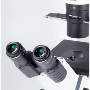 Motic Microscopio invertito AE2000 bino, infinity 40x-200x, phase, Hal, 30W