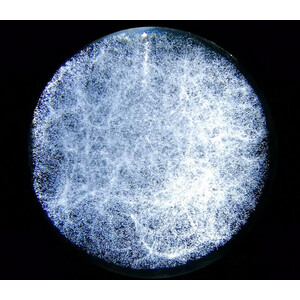 CinkS labs L'Univers entier dans une boule de verre