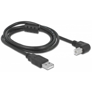 PegasusAstro USB-Kabelset 2x USB2.0 Type-B 1m