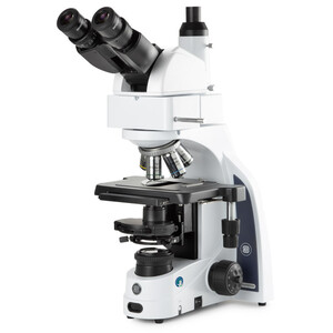 Euromex Microscopio Mikroskop iScope IS.1159-PLPHi, Bino + Phototubus, infinity, Plan Phase IOS 100x-1000x, 10x/22 DL, Köhler LED