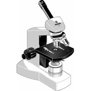 Euromex Microscopio XE.5612